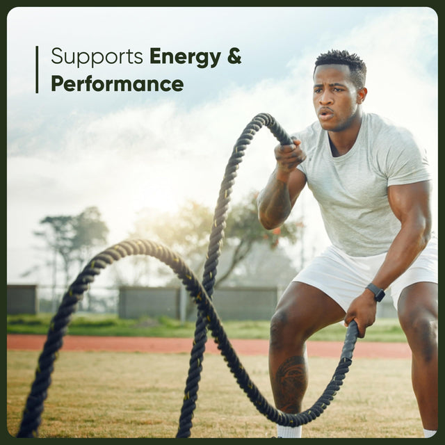 Men Fitness Apparel