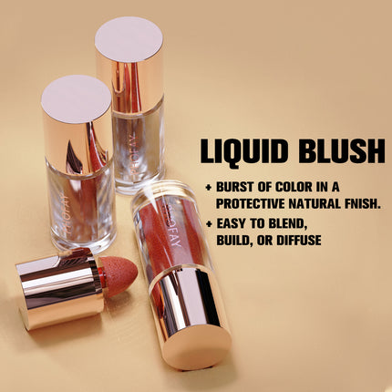 PHOFAY Radiant Mousse Blush