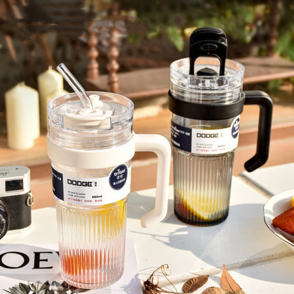 Portable Double Straw Cup