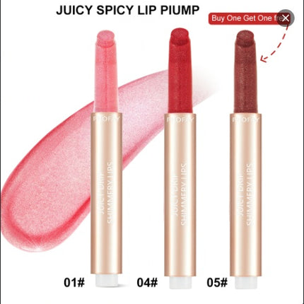 PHOFAY Luxe Lip Maximizer