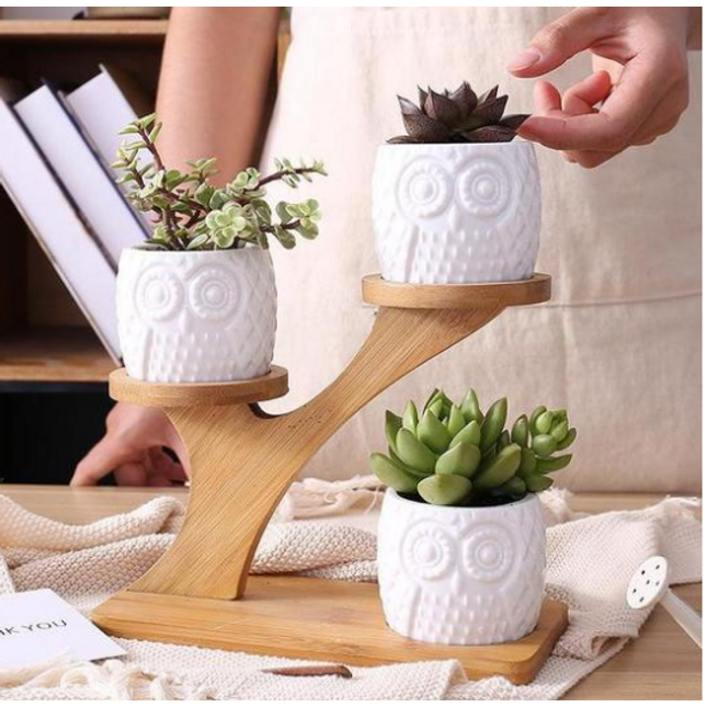 Owl Wooden Tree