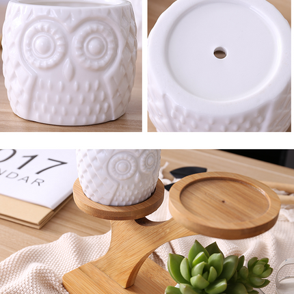 Owl Wooden Tree