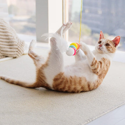 Cat Toys Simulated Caterpillar Cute Toys Funny Self-hey Interactive Toy Rope Grabbing Mouse Telescopic Hanging Cat Pet Supplies
