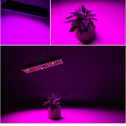 LED Plant Supplement Light For Growing Seedlings In Greenhouses