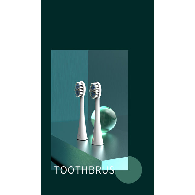 Ultrasonic Sonic Electric Toothbrush USB Rechargeable Tooth Brush