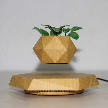 LEVITATING FLOWER POT