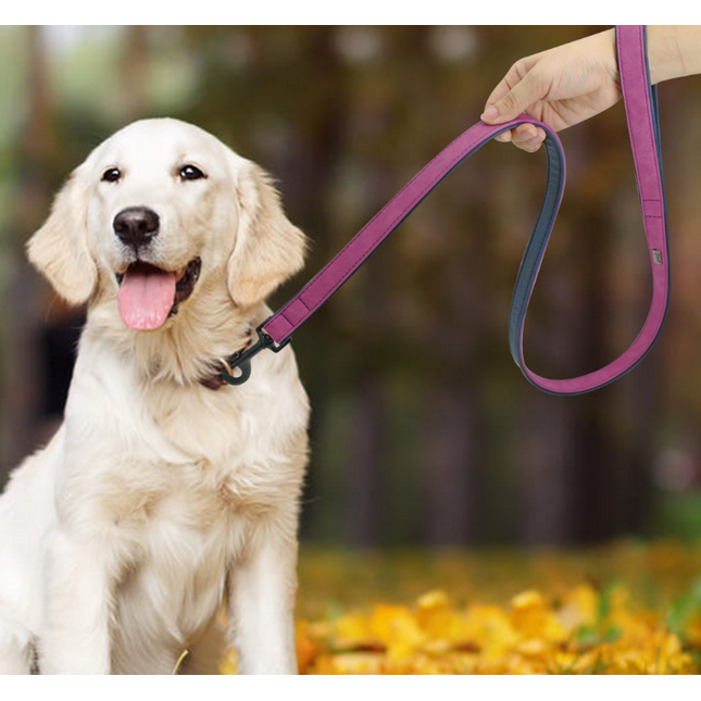 Pet Dog Leash Pull-resistant Leather Products