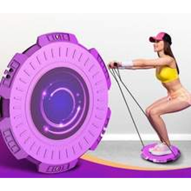 Twisting Disc Home Fitness Large Magnetic Therapy