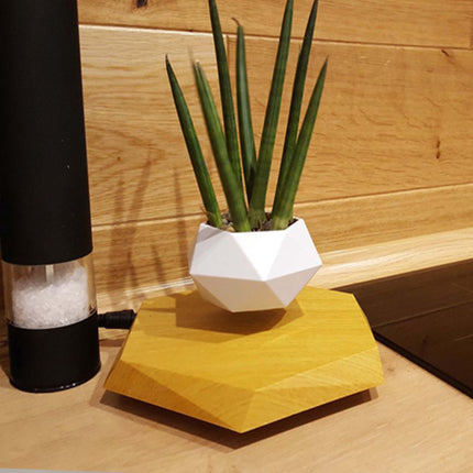 LEVITATING FLOWER POT