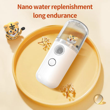Rabbit& Tiger Creative Nano Facial Sprayer Mini Usb Humidifier Face
