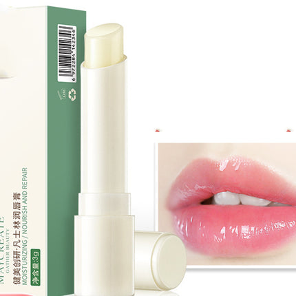 Lip Balm Moisturizing Mask Care