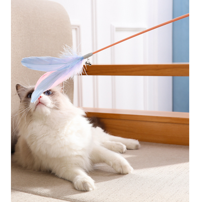 New Pet Cat Toy Products Feather Teasing  Stick
