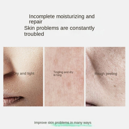 innisfree Korean original sample green tea seed 5pcs sets skin care