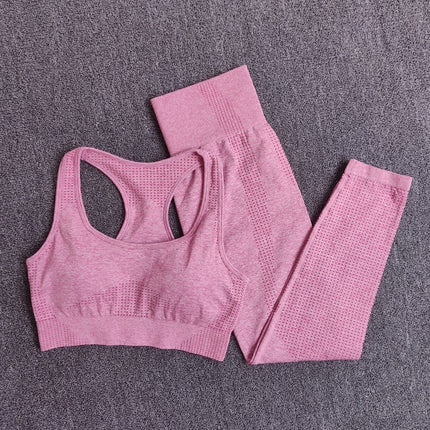 Women Seamless Fitness Yoga Set