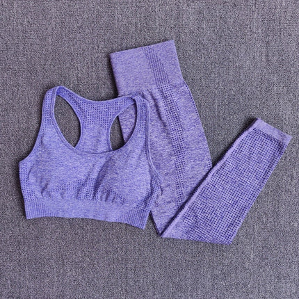 Women Seamless Fitness Yoga Set