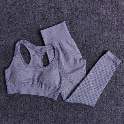 Women Seamless Fitness Yoga Set
