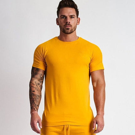 Casual Cotton Solid t shirt Men